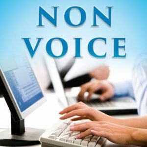 Grow your business with us, Non Voice projects: Call Centers Hourly