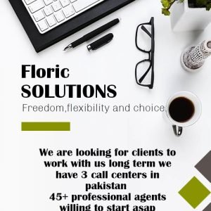 Frolic solutions B2B and B2C Services for hire